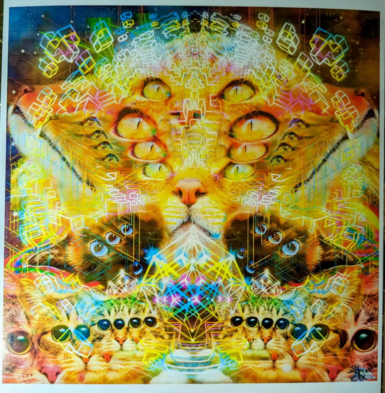 Fractal Cat Mandala