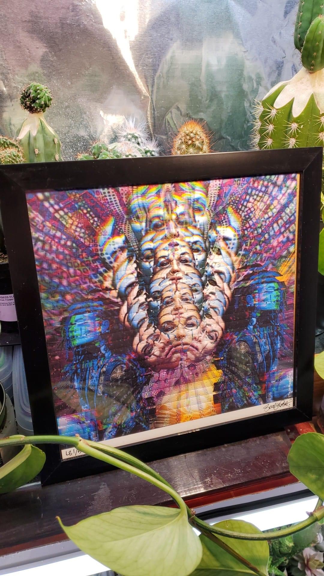 Fractal Faces (Framed)